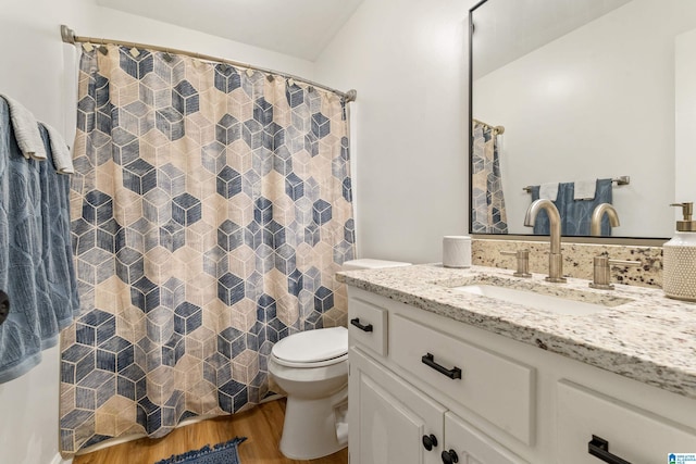 full bathroom featuring vanity, wood finished floors, toilet, and a shower with curtain