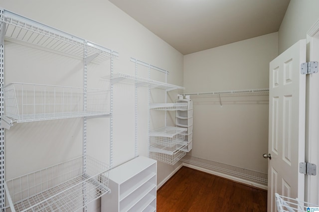 walk in closet featuring wood finished floors