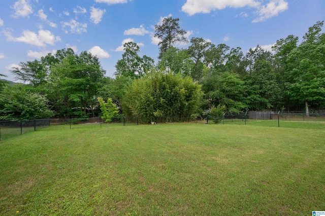 view of yard featuring fence