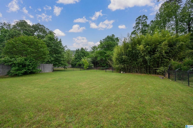 view of yard featuring a fenced backyard