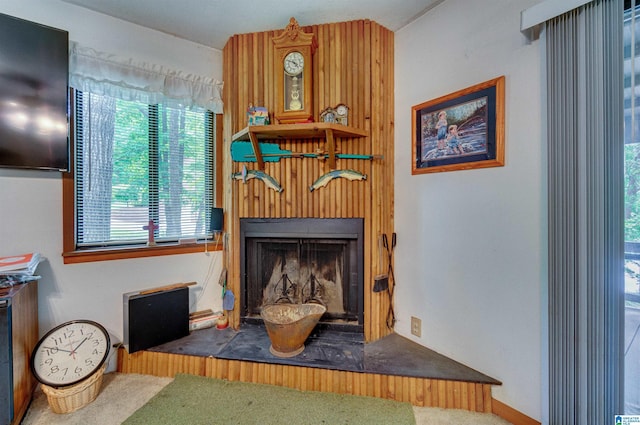 156 Wallace Dr, Shelby, AL 35143 - detailed view of a fireplace with raised hearth and carpet flooring