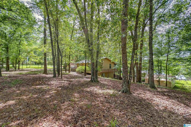 156 Wallace Dr, Shelby, AL 35143 - view of yard