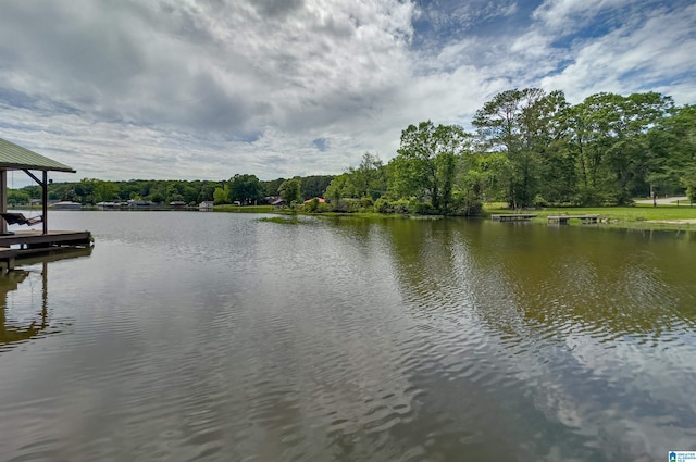 156 Wallace Dr, Shelby, AL 35143 - water view with a boat dock