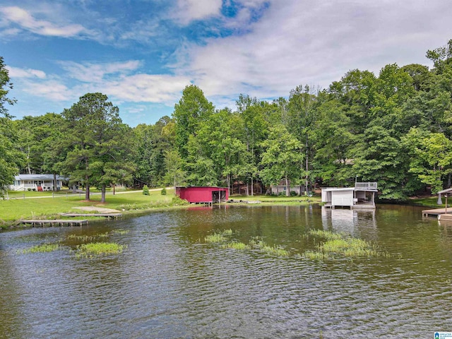 156 Wallace Dr, Shelby, AL 35143 - water view