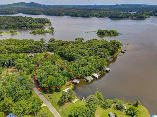 156 Wallace Dr, Shelby, AL 35143 - aerial view of property and surrounding area featuring a nearby body of water, a forest, and property parcel outlined