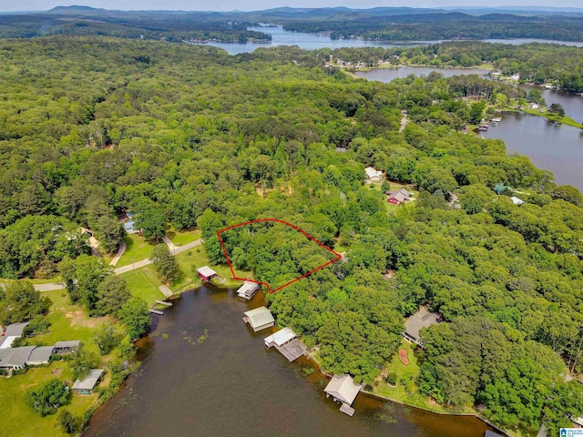 156 Wallace Dr, Shelby, AL 35143 - aerial view of property and surrounding area with a forest, a nearby body of water, and property boundaries highlighted