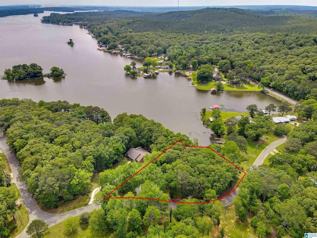 156 Wallace Dr, Shelby, AL 35143 - aerial view of property's location with a forest, a large body of water, and property parcel outlined