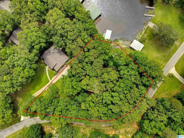156 Wallace Dr, Shelby, AL 35143 - aerial view of property and surrounding area featuring property boundaries highlighted