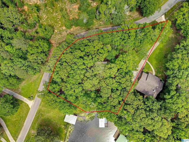 156 Wallace Dr, Shelby, AL 35143 - aerial view of property and surrounding area featuring property boundaries highlighted