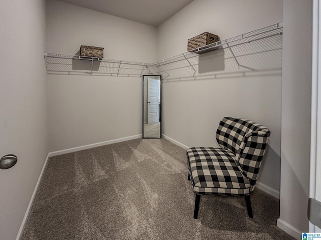 walk in closet featuring carpet flooring