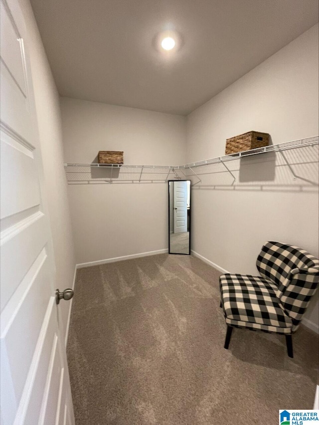spacious closet with carpet floors