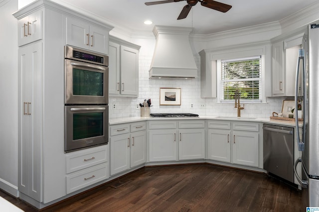 kitchen with a sink, premium range hood, dark wood-style floors, a ceiling fan, and appliances with stainless steel finishes