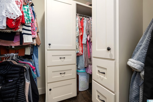 spacious closet featuring dark wood-style flooring