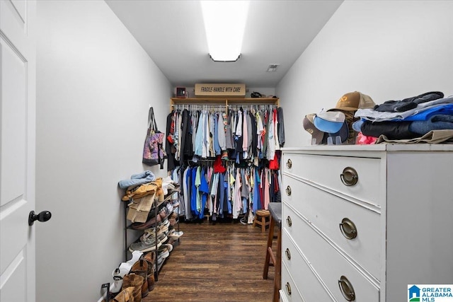 239 Gilliland Rd, Oneonta, AL 35121 - spacious closet featuring dark wood finished floors and visible vents