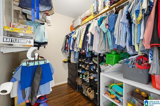239 Gilliland Rd, Oneonta, AL 35121 - spacious closet featuring wood finished floors