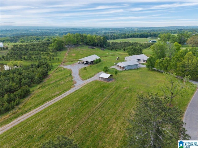 239 Gilliland Rd, Oneonta, AL 35121 - bird's eye view with a rural view