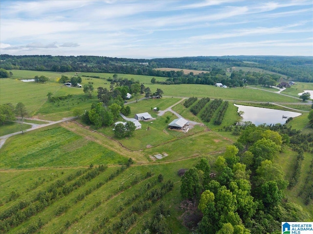 239 Gilliland Rd, Oneonta, AL 35121 - bird's eye view with a water view and a rural view