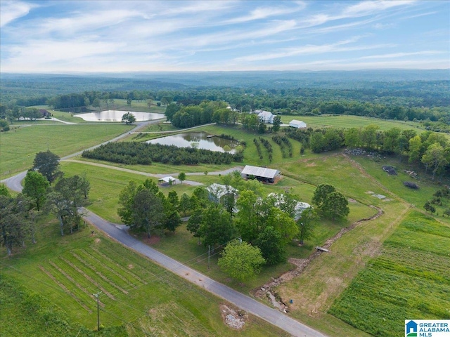 239 Gilliland Rd, Oneonta, AL 35121 - aerial view with a water view and a rural view