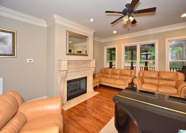 1103 Greystone Cove Dr, Hoover, AL 35242 - living area with ceiling fan, plenty of natural light, wood finished floors, and ornamental molding