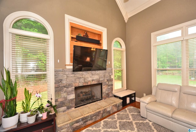 1103 Greystone Cove Dr, Hoover, AL 35242 - living room with crown molding, vaulted ceiling, wood finished floors, and a fireplace