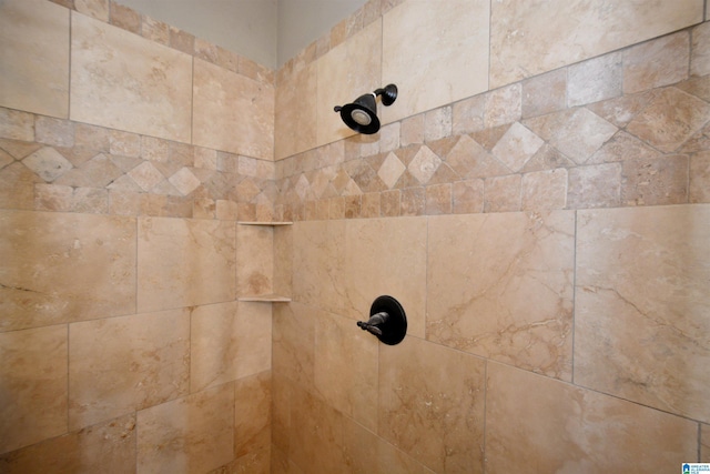 1103 Greystone Cove Dr, Hoover, AL 35242 - interior details with a tile shower