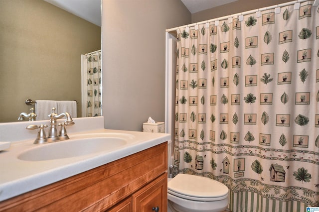 1103 Greystone Cove Dr, Hoover, AL 35242 - full bath featuring toilet, a shower with shower curtain, and vanity