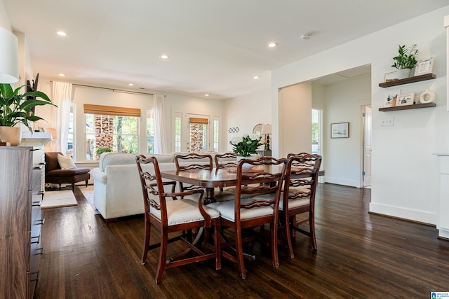 530 10th Ave S, Birmingham, AL 35205 - dining area with recessed lighting, dark wood finished floors, and a wealth of natural light
