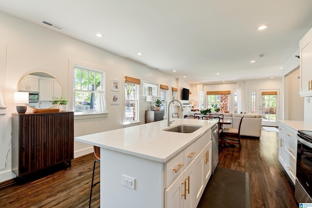 530 10th Ave S, Birmingham, AL 35205 - kitchen featuring a sink, appliances with stainless steel finishes, dark wood-style flooring, and visible vents