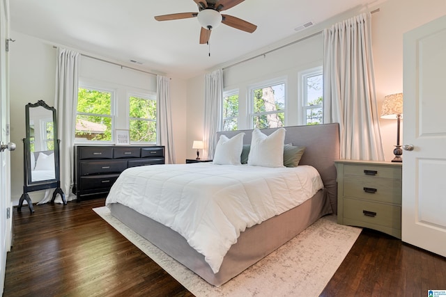 530 10th Ave S, Birmingham, AL 35205 - bedroom with visible vents, dark wood-style floors, and multiple windows