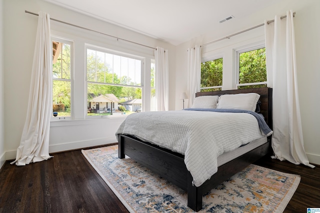 530 10th Ave S, Birmingham, AL 35205 - bedroom with visible vents, dark wood-type flooring, and multiple windows