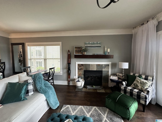 475 River Forest Ln Unit 1250, Talladega, AL 35160 - living area with baseboards, wood finished floors, and a tile fireplace