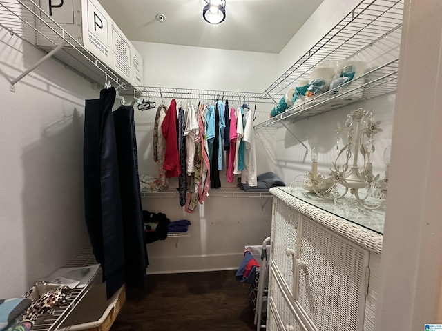 475 River Forest Ln Unit 1250, Talladega, AL 35160 - walk in closet featuring dark wood-style flooring