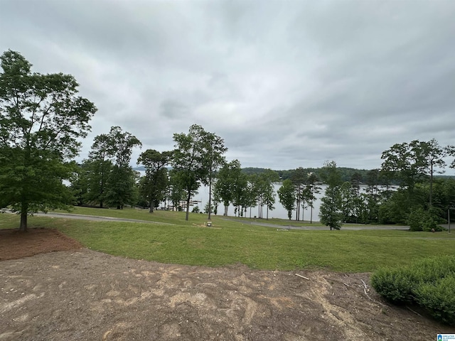 475 River Forest Ln Unit 1250, Talladega, AL 35160 - view of property's community featuring a lawn