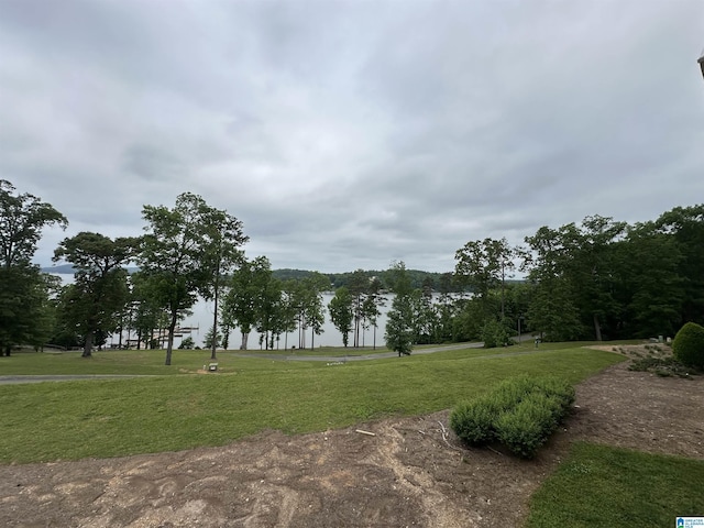 475 River Forest Ln Unit 1250, Talladega, AL 35160 - view of community featuring a yard