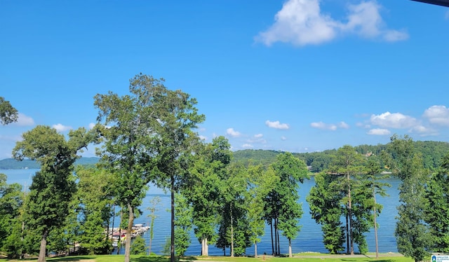 475 River Forest Ln Unit 1250, Talladega, AL 35160 - exterior space with a lawn and a water view