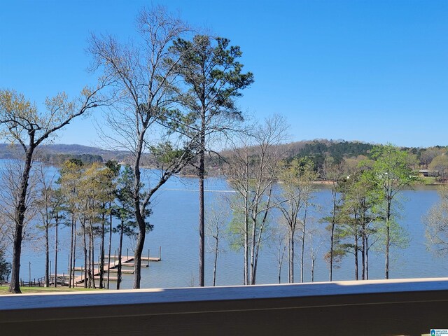 475 River Forest Ln Unit 1250, Talladega, AL 35160 - view of water feature featuring a boat dock