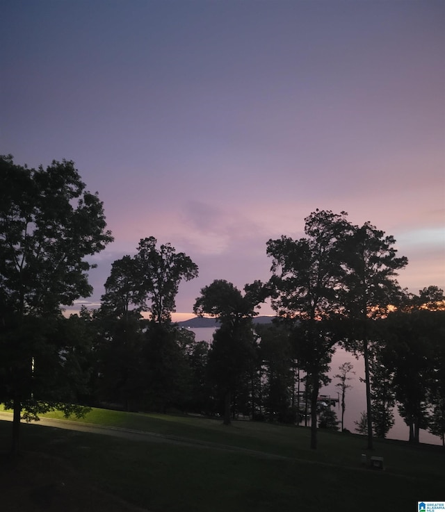 475 River Forest Ln Unit 1250, Talladega, AL 35160 - exterior space
