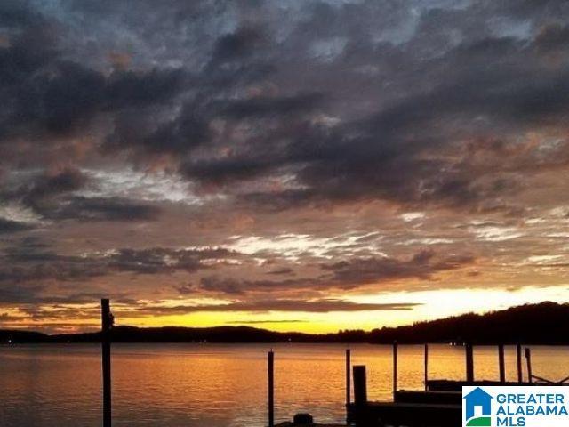 475 River Forest Ln Unit 1250, Talladega, AL 35160 - view of water feature with a boat dock