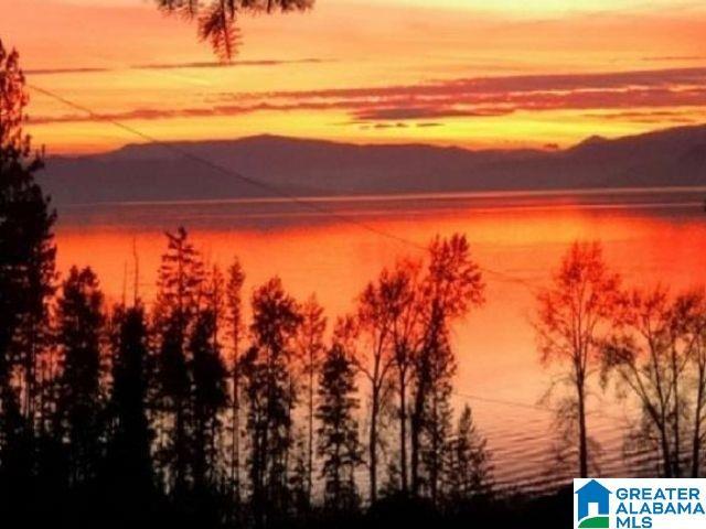 475 River Forest Ln Unit 1250, Talladega, AL 35160 - water view with a mountain view