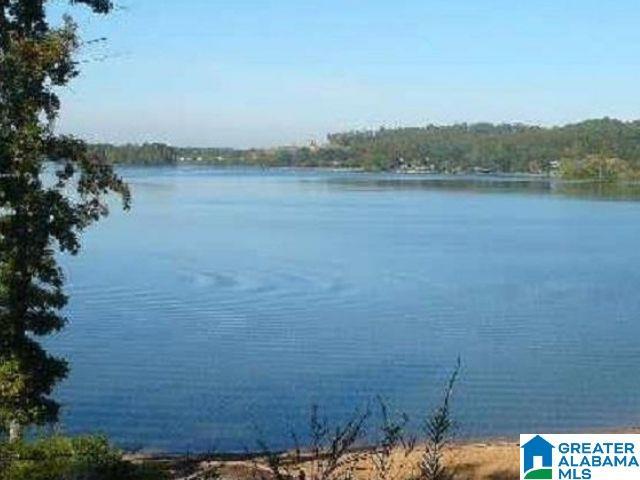 475 River Forest Ln Unit 1250, Talladega, AL 35160 - property view of water