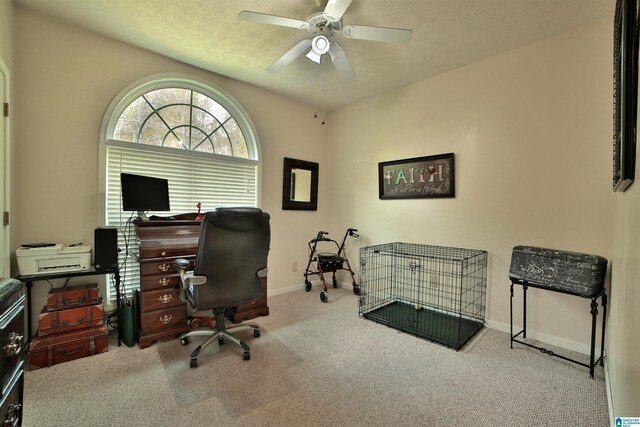 50 County Road 4311, Wedowee, AL 36278 - office with baseboards, carpet flooring, a textured ceiling, and ceiling fan