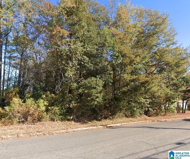 0 Wyndham Pkwy Unit 0, Helena, AL 35080