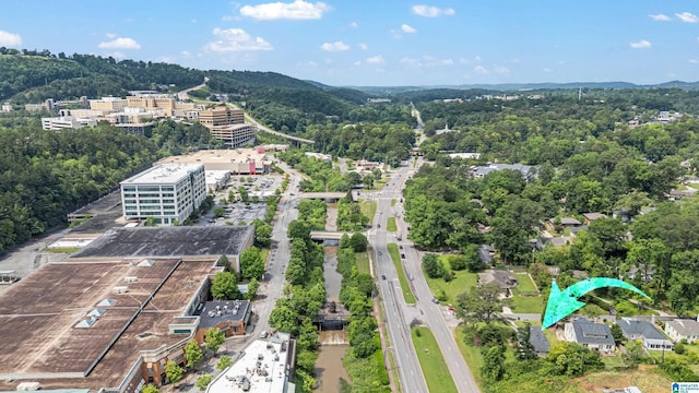 708 Devon Dr, Birmingham, AL 35209 - drone / aerial view