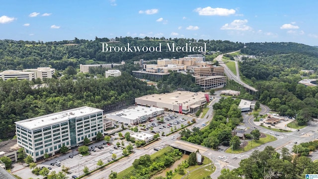708 Devon Dr, Birmingham, AL 35209 - aerial view