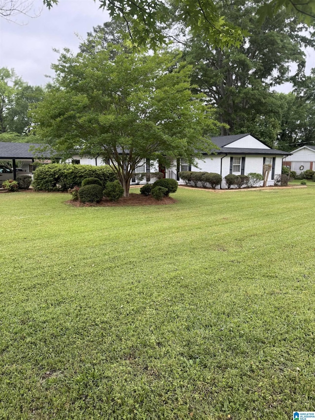 view of yard
