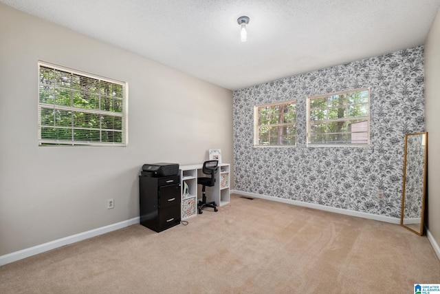office space featuring carpet floors and wallpapered walls