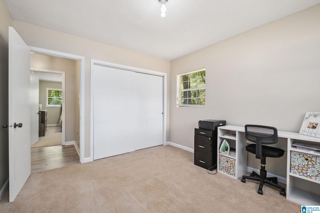office area featuring carpet floors, baseboards, and plenty of natural light