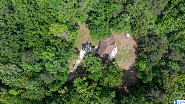 aerial view