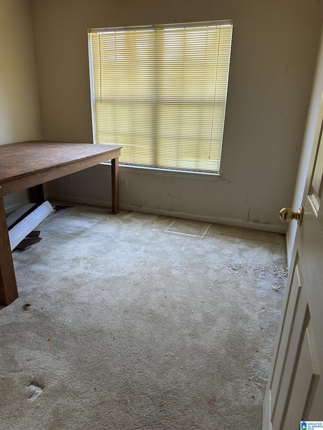 interior space featuring baseboards and carpet