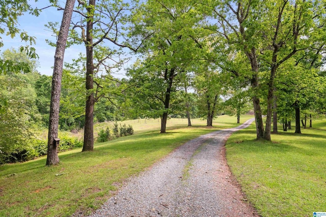 view of road